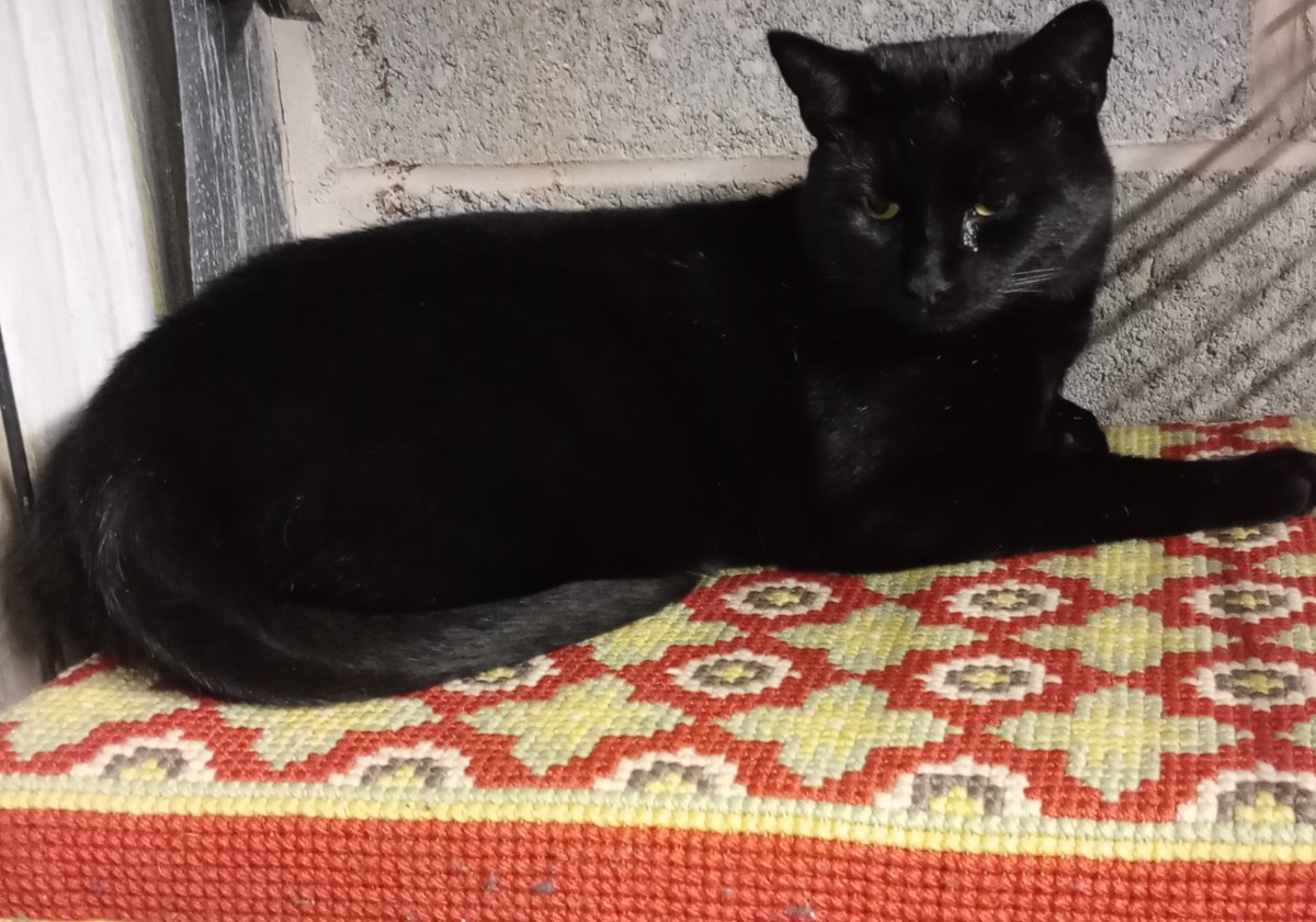 New post! Come and see what we've been up in August here at Mucknell Abbey:

mucknellabbey.org.uk/august-2025-di…