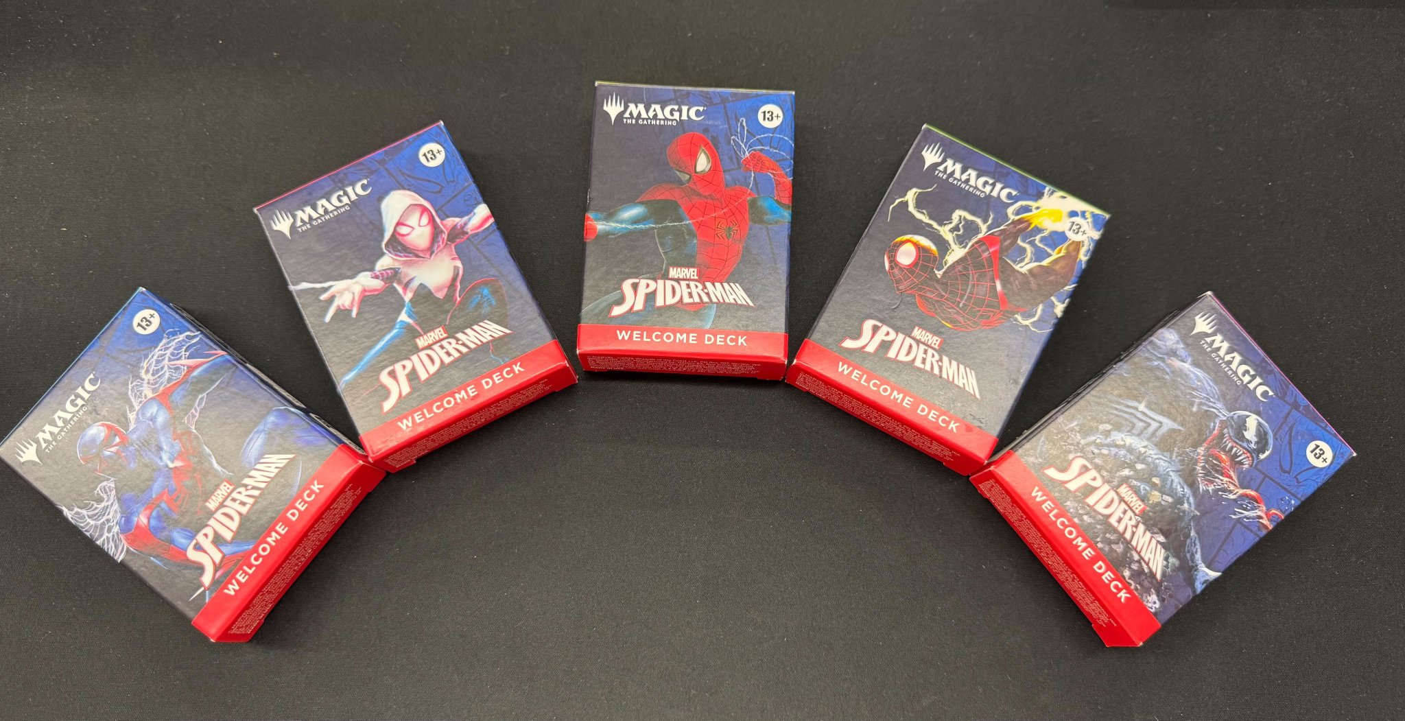MTG バインダー　空箱　コレクション　処分　バラ売り不可 61dpvD2R6BL._UF350,350_QL50_.jpg