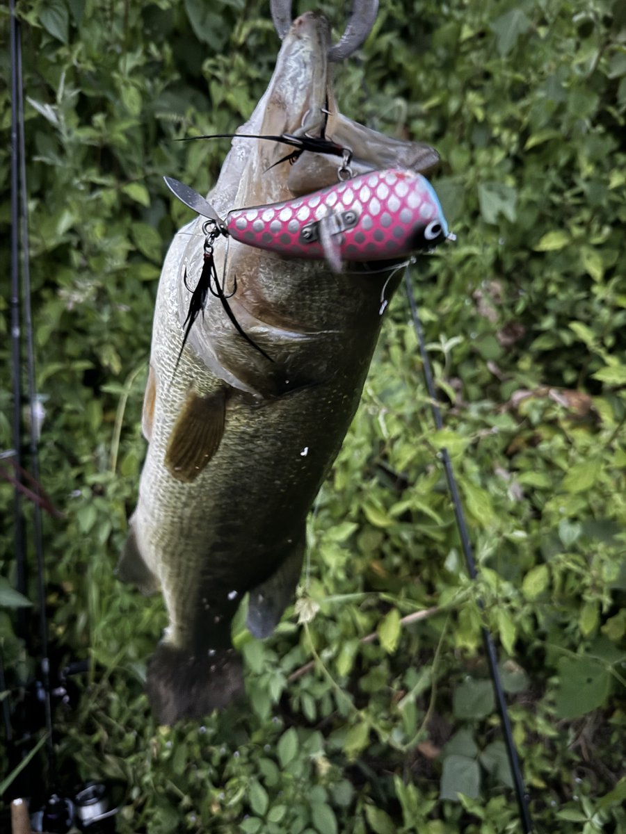 skillful【スキルフル】オカモトタクミ (@skillfullure) / X