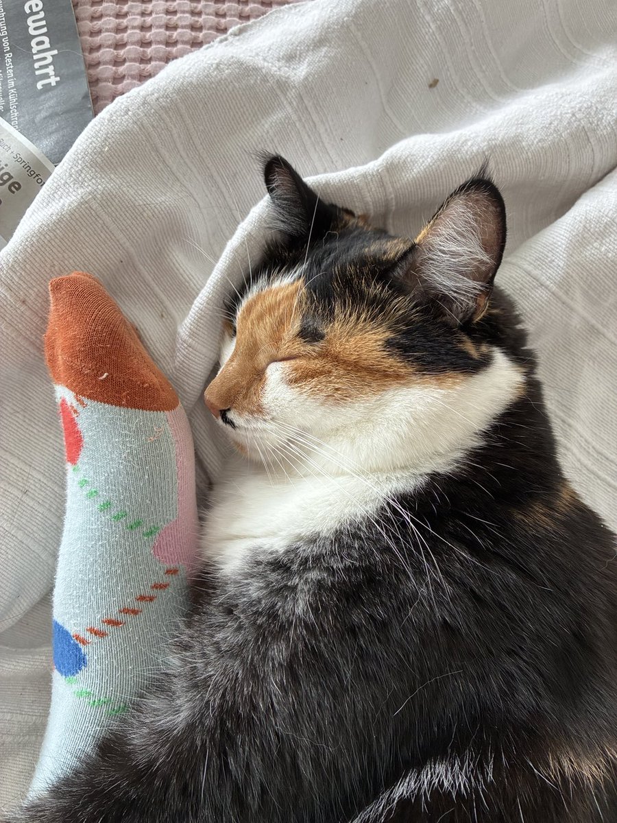 #Bella