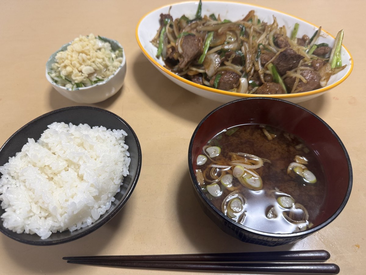 久々にちゃんと作ったピコ飯。
お野菜多めなのに何で茶色いかな…