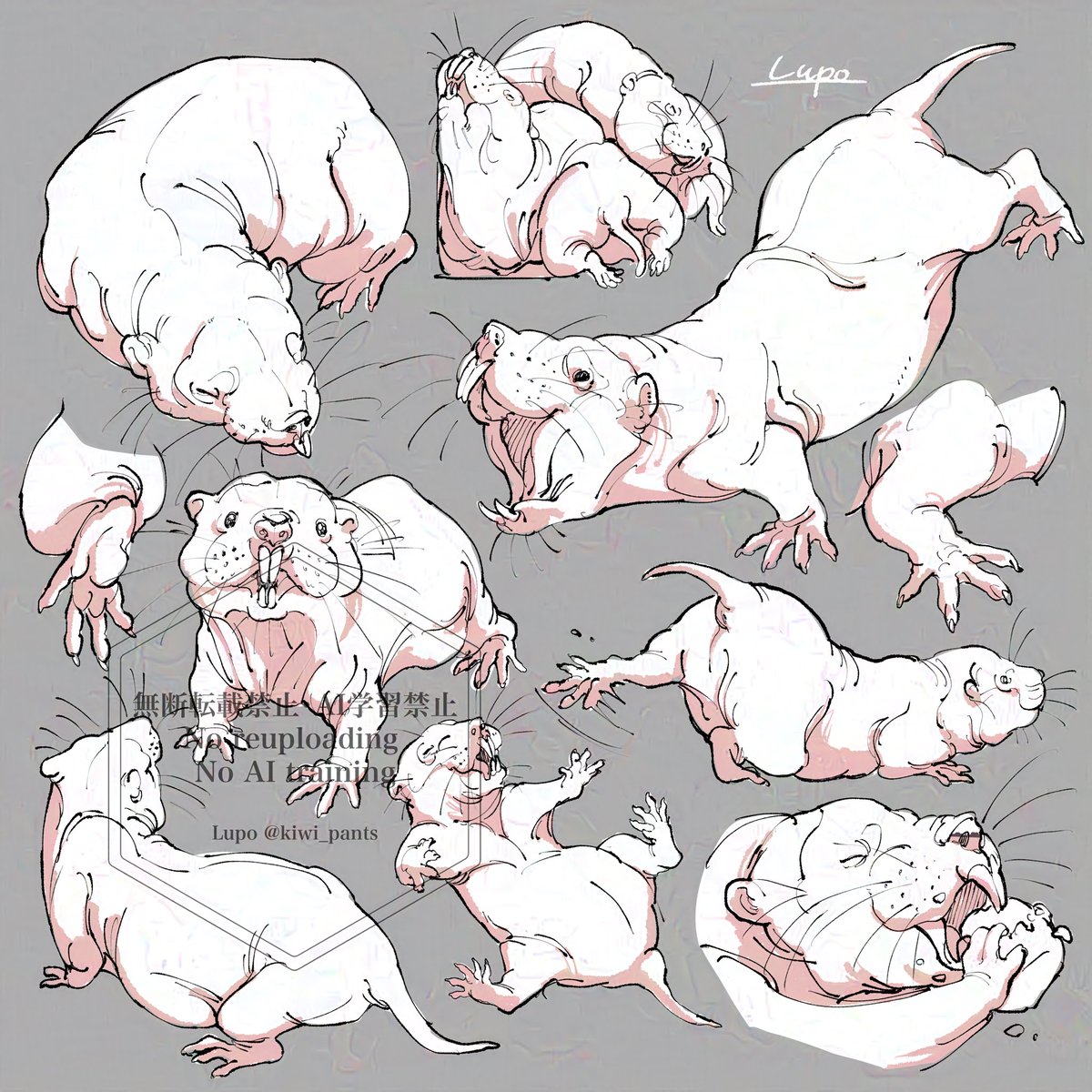 もちぷにキュートなハダカデバネズミ