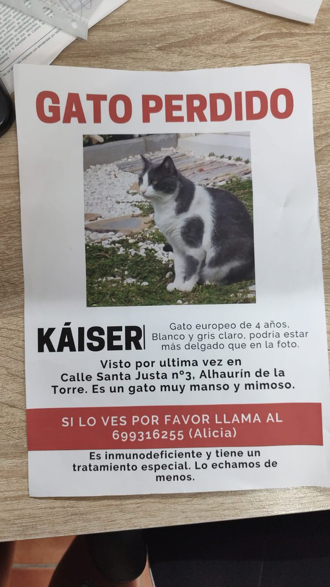 KÁISER SE HA PERDIDO‼️

Necesita medicación especial a diario, si lo ves llama al número que aparece en el cartel y no lo pierdas de vista🙏🏼

📍Alhaurin De la Torre