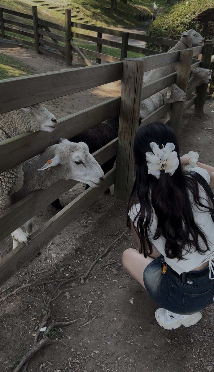 oɯ (@sofell_mo) on Twitter photo 