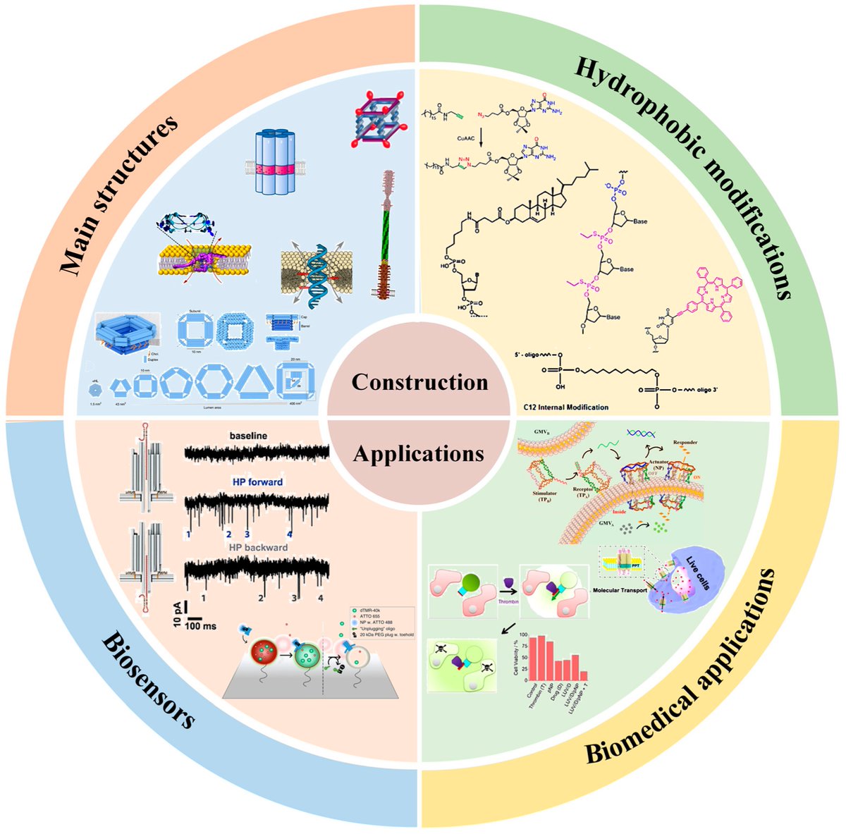 chemosens_MDPI's tweet image. #Review
Design of DNA-Based Artificial Transmembrane Channels for Biosensing and Biomedical Applications by Wanyu Xu, et al.
doi.org/10.3390/chemos…

@MDPIOpenAccess @hunanuniv
#artificialtransmembranechannel #DNAnanostructure #biosensing #biomedicalapplication
