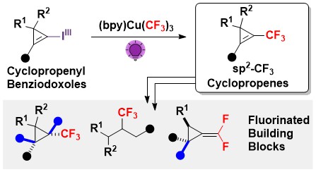 The preprint of the work of <a href="/josh_wwu/">Josh Wu</a> , <a href="/TobiasMilzarek/">Tobias Milzarek</a>     and Matthew Wodrich on the trifluoromethylation of Cyclopropenylbenziodoxoles is now available at <a href="/ChemRxiv/">ChemRxiv</a>  . This method gives access to unique fluorinated building blocks.
chemrxiv.org/engage/chemrxi…