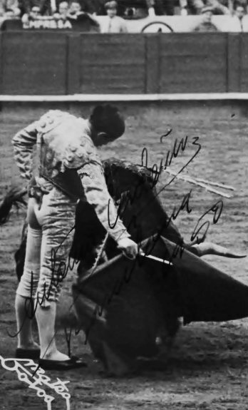 Dicen que soy irregular y es debido a esa manera que tengo yo de entender el toreo. A veces siento el toreo y entonces la faena es grande y honda, y otras veces, no estoy en vena o no lo veo claro y es entonces cuando no estoy lo bien que quisiera estar siempre.
(Antonio Ordoñez)