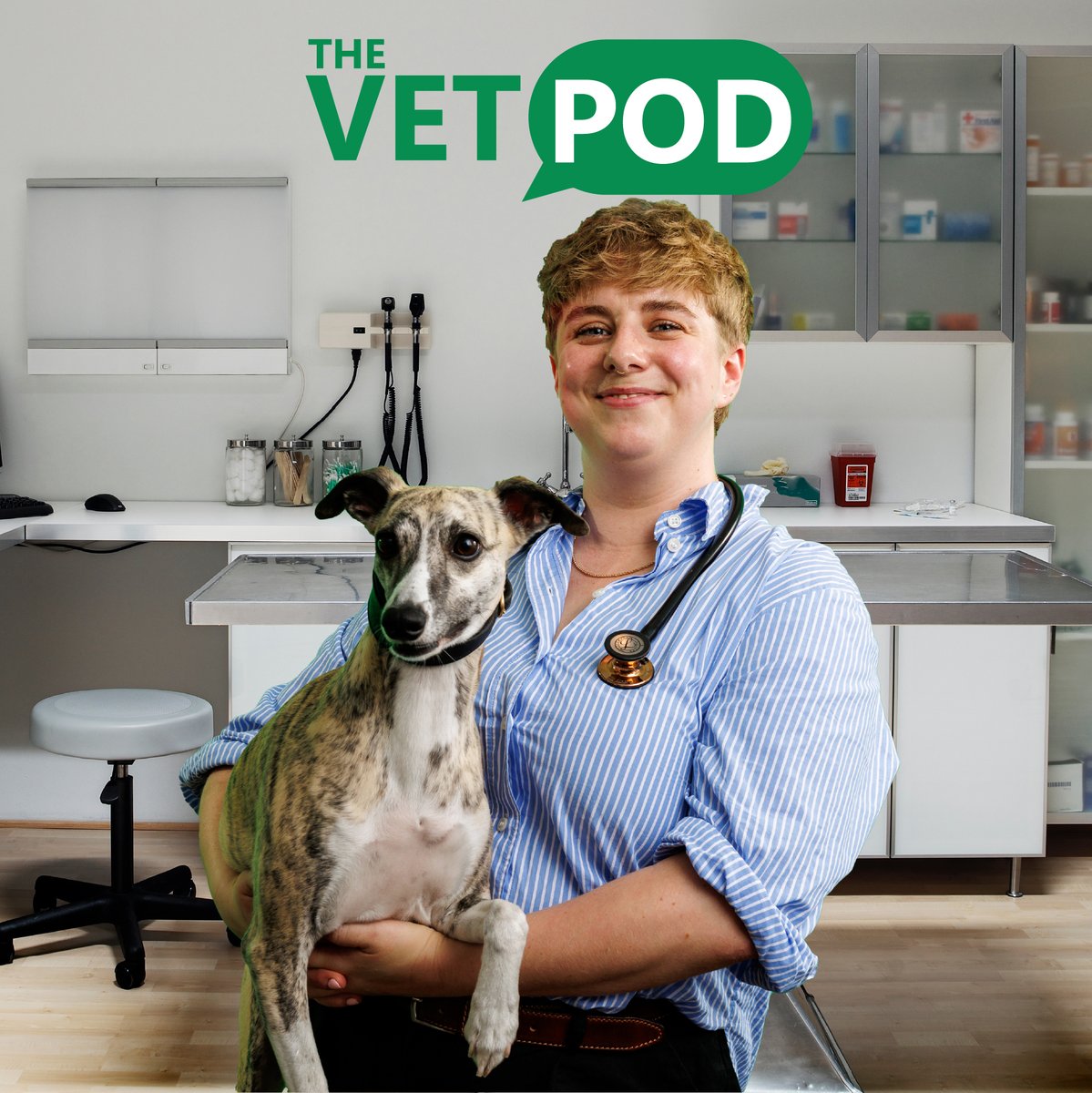 Say hi to our new host, Amy Barry! 
From farm vet dreams to dentistry queen, Amy brings her passion for companion animals, clinical insight &amp; a dash of humour.
Based in Cork with her whippet Fennel &amp; retired horse Milly — we can't wait for you to meet her! #TheVetPod👩‍⚕️S🐶🐴🎧💬