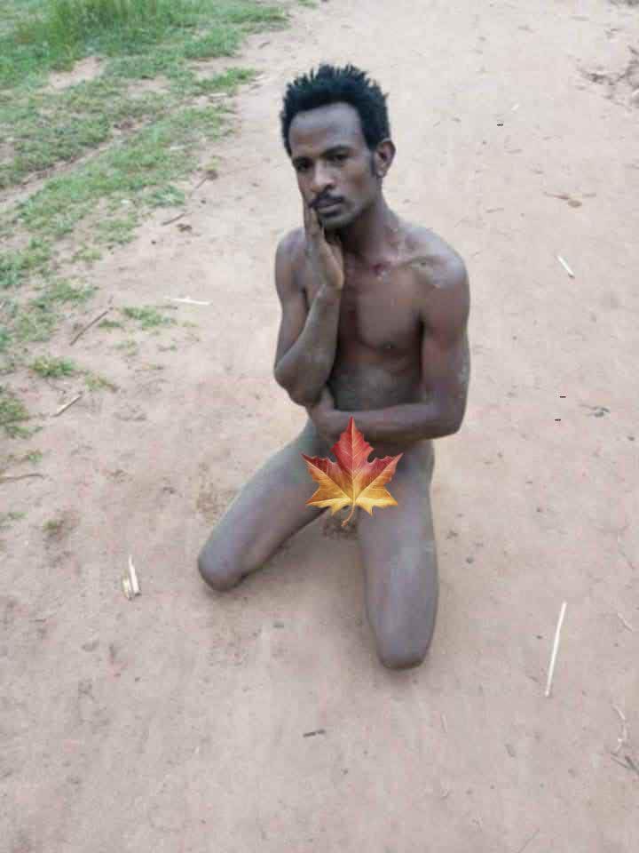 #Ethiopia

He is a teacher until kidnapped by Abiy’s Ethiopian security forces. His name is Gemede Jilo Bariso. He was arrested from his home, Bule Hora, Guji, Oromia Region. Security forces gathered local community, his mother, his father, his wife, and his daughters. 1