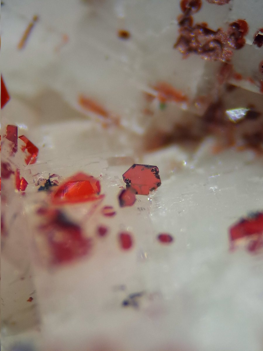 mapoepoe's tweet photo. 辰砂(Cinnabar on matrix Dolomite)
San Giovanni Mine, Bindua, Iglesias, South Sardinia Province, Sardinia, Italy
Most crystals are smaller than 1 mm https://t.co/U5LymhB0XQ