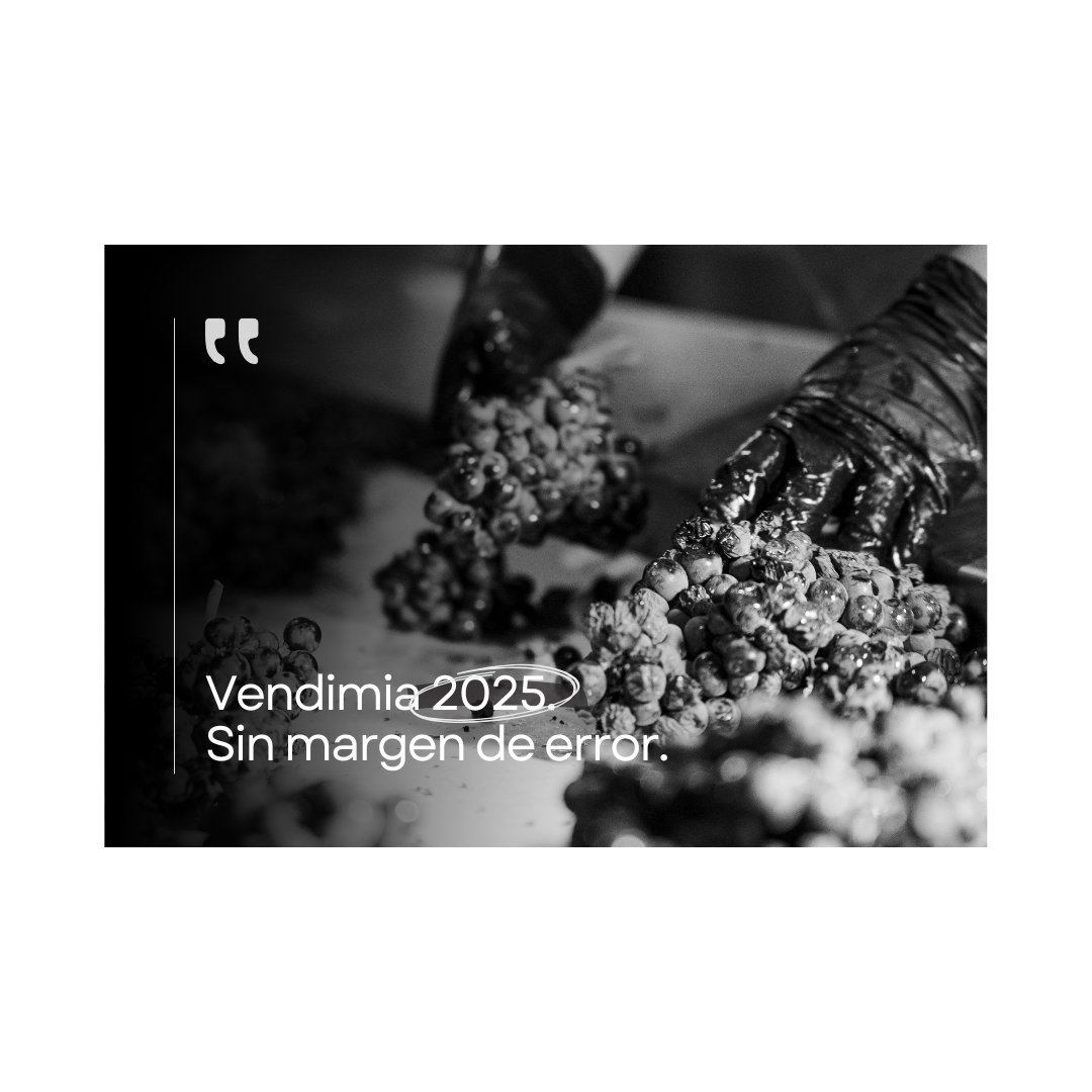 No hablamos de prepararnos. Hablamos de estar preparados.
Vendimia 2025. Sin margen de error.

#Carchelo #SierradelCarche #VendimiaJumilla