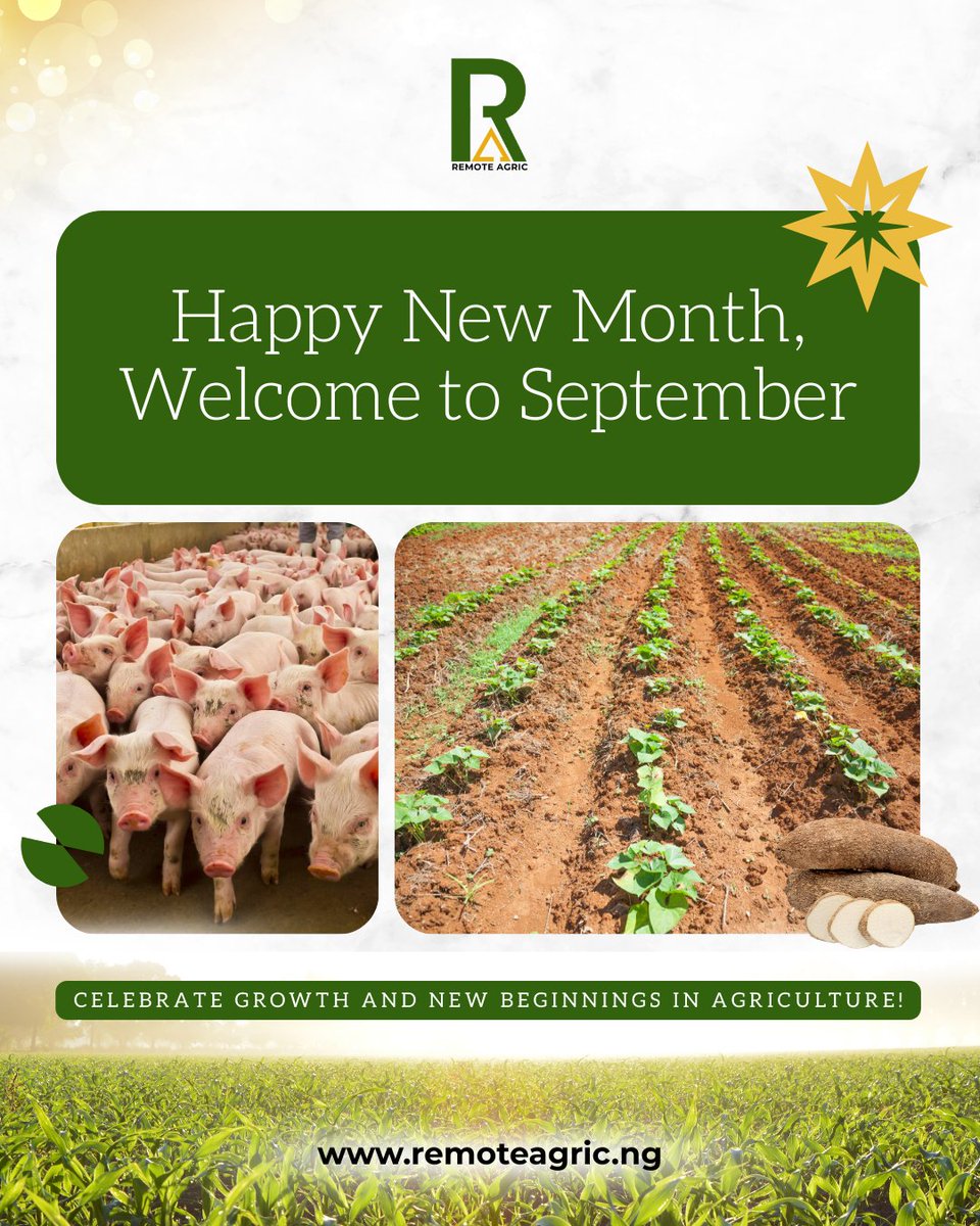 RemoteAgric's tweet image. Welcome to September!✨

Don't forget to invest into RemoteAgric in this new month.🍀

#remoteagric #newmonth #happynewmonth #investment #agriculture #yamfarming #pigfarming