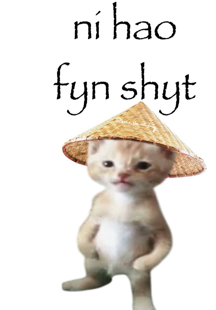 Wild TikToks (@wildtiktokss) on Twitter photo 