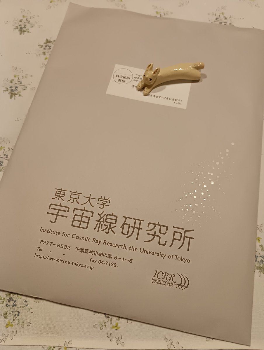 あつだむ tweet media