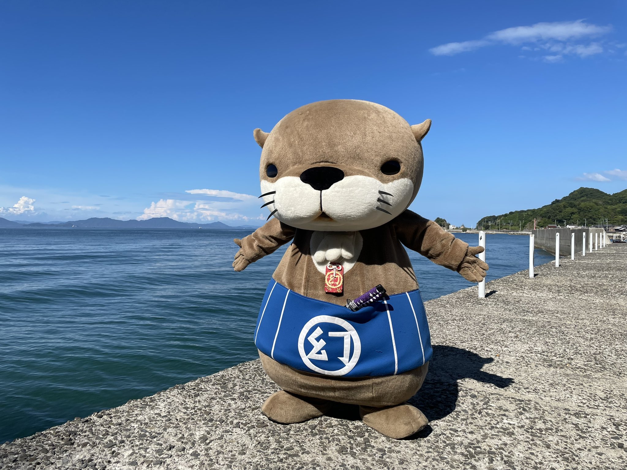 孤独のグルメ、遥かな町へ、坊っちゃんの時代、神の犬、ブランカ、K、晴れゆく空、他 ニホンカワウソ幻(げん)ちゃん【公式】 on X: 