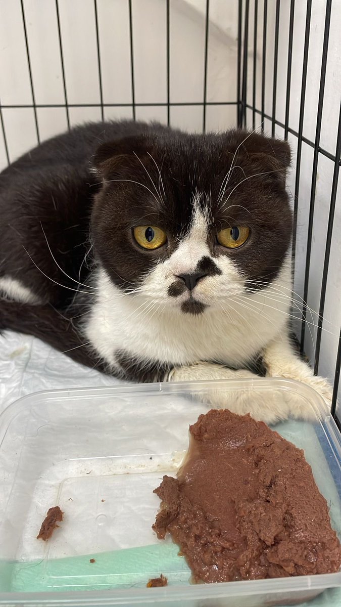 Indira Diandra tweet media