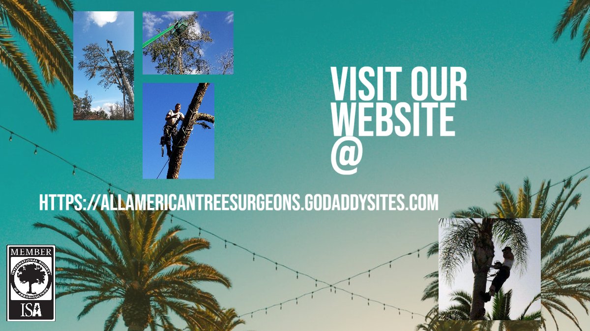 TreeShane's tweet image. Happy Labor Day to all from 
All American Tree Surgeons.
4.6-star Google rating. 
——
Leave a Review, Check out our GoDaddy, and our own Website: 

*  allamericantreesurgeons.com
* g.page/r/Ca5_WPAxL1aD…
* …americantreesurgeons.godaddysites.com