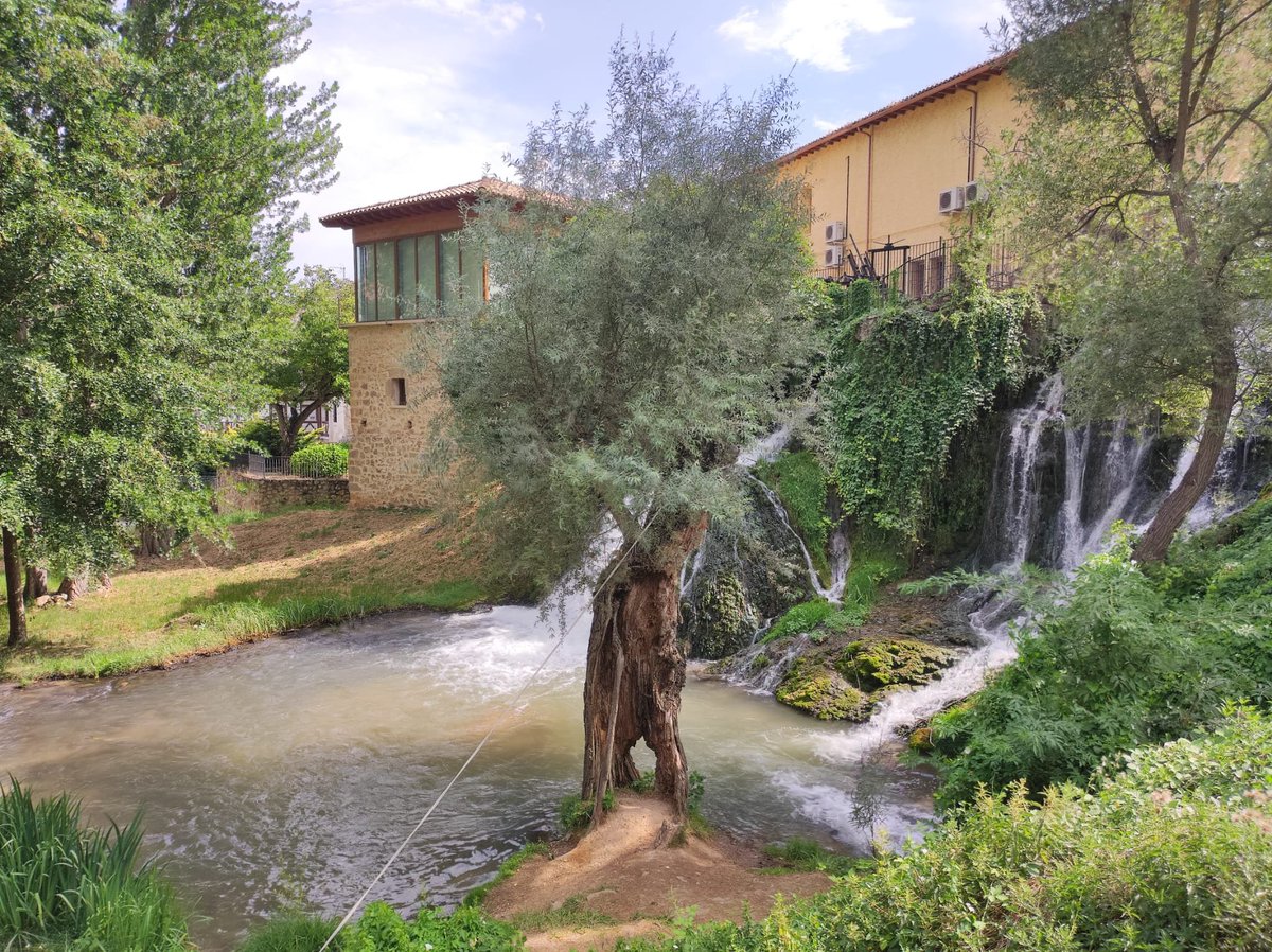¿Que hay que ir de nuevo a Mordor a ayudar a los hobbits?

Justo cuando iba a bañarse, problemas.

Trillo, Guadalajara.