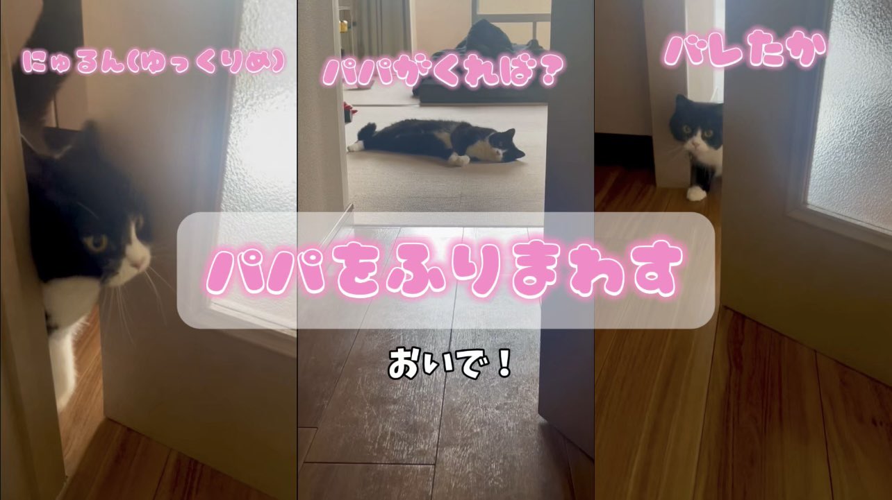 たろうさページ たろう on X: 