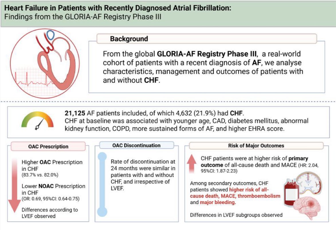 Last day and last simultaneous publication of #EJPC in #ESCCongress 2025 🔆 
💡 Did you know? Nearly 1 in 5 patients with newly diagnosed AF also have heart failure!
📊 New data from the GLORIA-AF Registry Phase III shows these patients:
📌 Have more complex management
📌Are less
