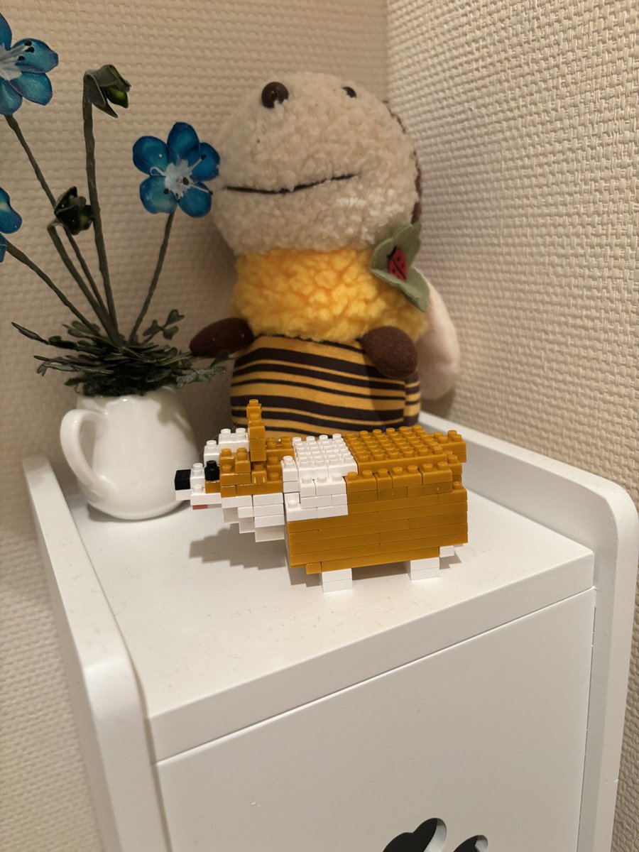 トイレの中のコーギー。