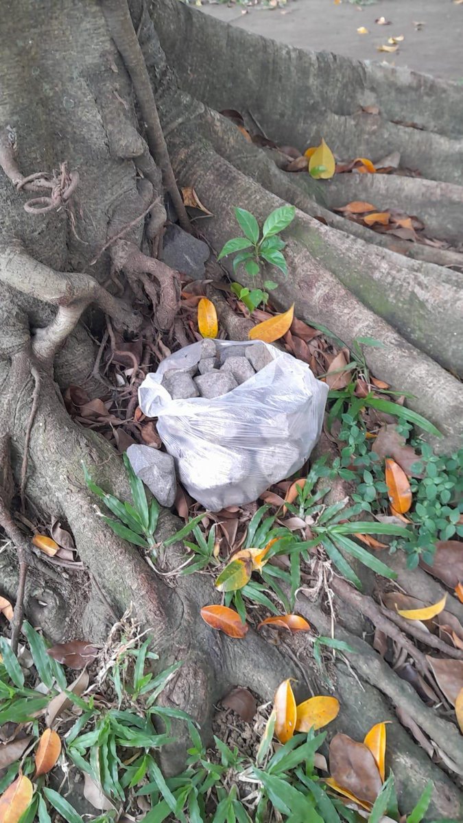 Watu ne sopo iki ketinggalan rek🤣