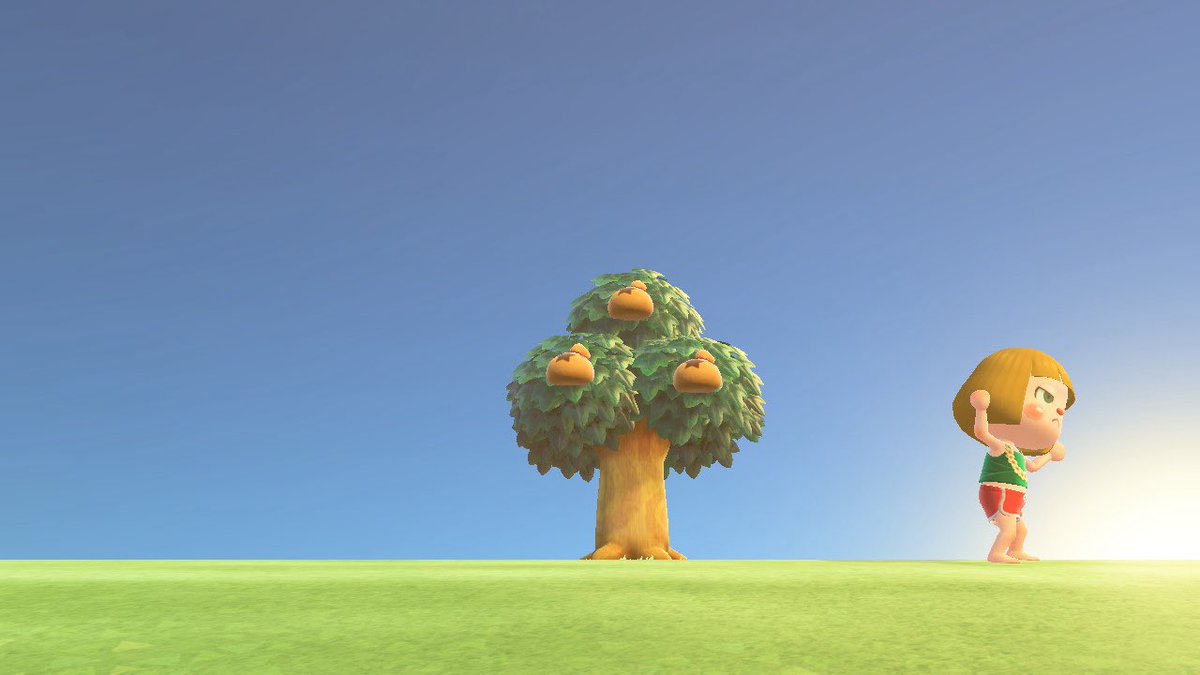 8月の花火大会楽しかったな☺️🎆
まだまだ先と思ってた９月がついにやってきた🙃
体調崩さず穏やかに元気に走りきれますように🕊️
うまくいきますように😌