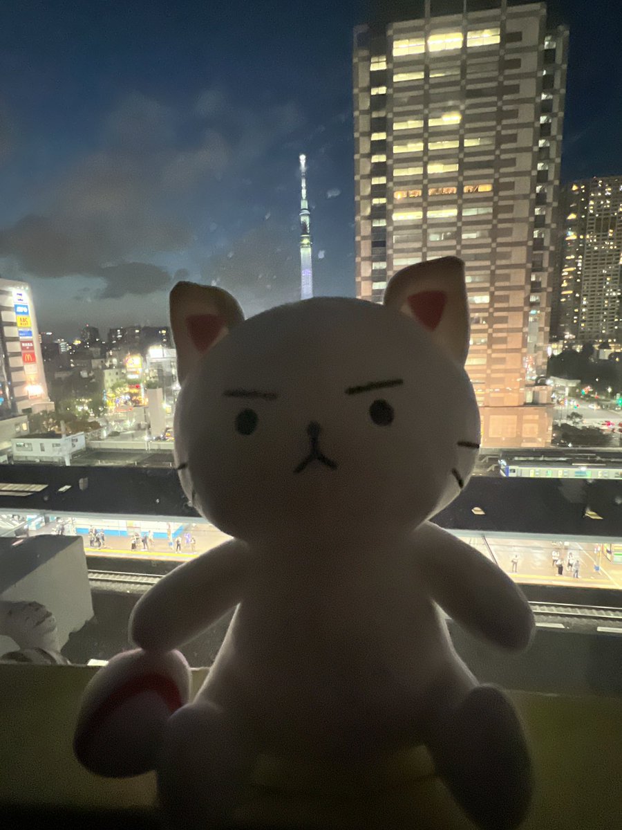 大人気の猫ピッチャー✨わざわざ私のために手に入れに行ってくださったと‥😭ありがとうございます😍大切にします〜🎵　#猫ピッチャー　可愛くてファンになりました〜😍