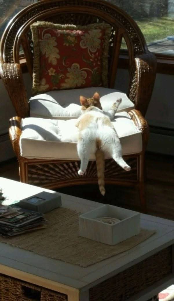 Jotenkin veltosti lähtenyt tämä viikko käyntiin. 😸