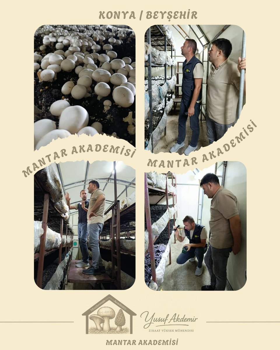 🍄Çalışmalarımız Devam Ediyor.🍄

📍#beyşehir

Kültür Mantarı

MAŞALLAH 👏👏👏

Tüm Üreticilerimize Hayırlı Helal Bol Kazançlar Dilerim.

#mantar #mushroom #tarımşehri #tarım #konya