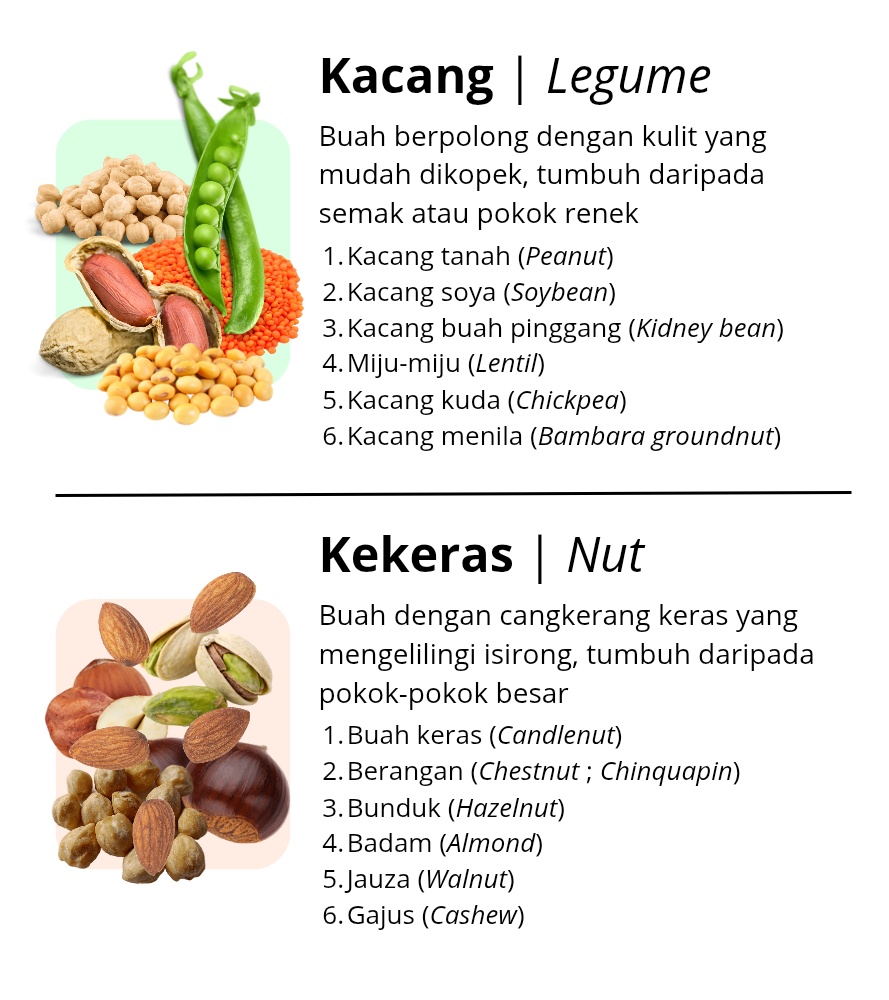 Beza kacang dan kekeras secara saintifik 

Walau terdapat perkataan "nut" dalam "peanut" dan "groundnut", keduanya ialah kekacang atau legume.

#cadangterjemah
#bahasamelayu
#bahasavssains