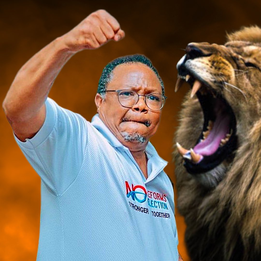 Kwasababu ni Jambo Muhimu, ndugu Rais wa TLS nakuomba ukienda kumwona mh. TUNDU LISSU gerezani, mweleze kuwa Mateso yake si Bure. Si mbali, tutalijenga sanamu lake Makao makuu ya Nchi. Itakuwa hivyo.