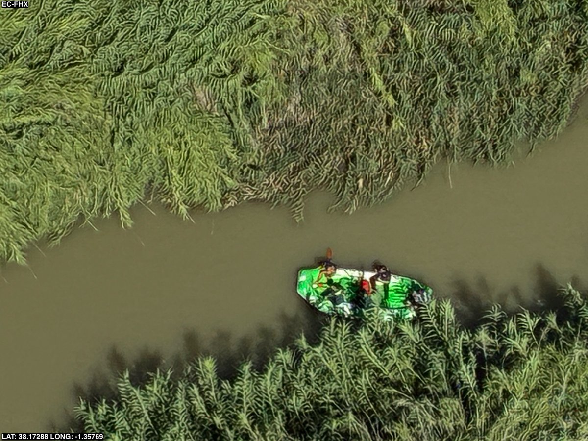 ▶️📢 REANUDAN BÚSQUEDA EN EL RÍO SEGURA (ABARÁN)

Un hombre de 35 años desapareció ayer tras ser arrastrado por la corriente.
Intervinieron 
* 🚓 @Policía Local
* 🚓 <a href="/guardiacivil/">Guardia Civil</a> 
* 🚒 <a href="/BomberosCEIS_RM/">Bomberos Región de Murcia - CEIS</a> 
* 🚁 helicópteros <a href="/dgsce_RM/">Seguridad Ciudadana y Emergencias Región de Murcia</a> 
* 👨‍🚒 #ProtecciónCivil
La búsqueda, suspendida