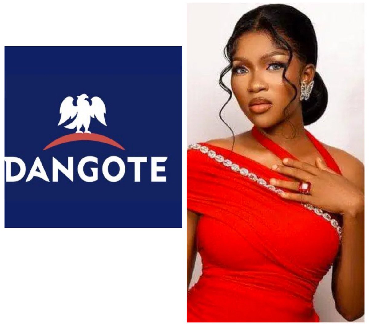 Social media has become a powerful tool in shaping public opinion, but the question remains: is it making people smarter or dumber? Recent events in Nigeria highlight how sensationalism often overshadows real solutions. For instance, in the case of the tragic Dangote truck