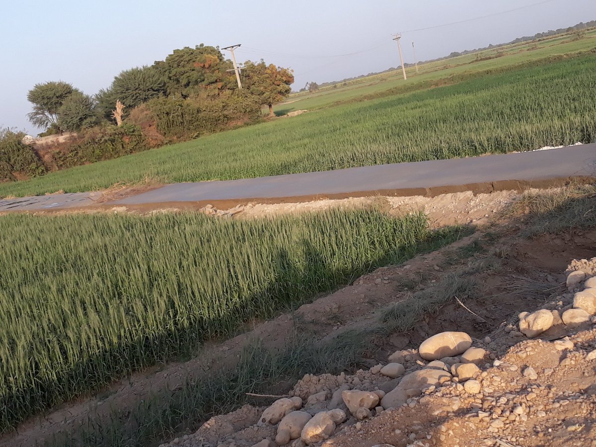 MashooqAli57746's tweet photo. #CC Block Work Completed Village Raees
Uc Mosa Khatian
#Ps_61
#ThanksPPP
#ThanksSindhGovt
@sharjeelinam
#HyderabadBhuttoKa
🇱🇾♥️🖤💚🇵🇰 https://t.co/HotrMiS9WG