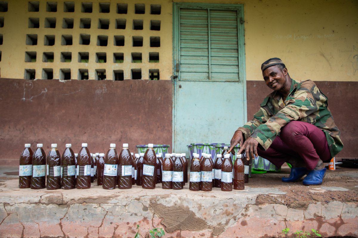 peged_pnud's tweet image. De chasseur à protecteur de la nature🌿🇬🇳
À Fodéya en #Guinée, Ibrahima Camara a abandonné son fusil pour #préserver la forêt et développer des revenus durables grâce au #ProjetBafingFalémé.
👉 Son parcours inspirant ici : tinyurl.com/7uk3wx7s
@UNDPAfrica @UNDP @PNUDGuinee