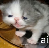 resumen de la mañana de hoy