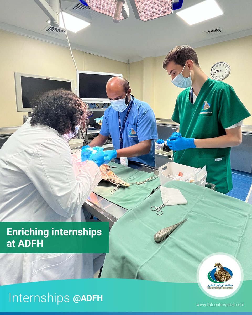 ADFH invites ambitious minds to join our internship program, designed to foster growth and expertise in veterinary fields. Shape your future by learning from the best in a world-class environment.
#ADFH #FalconHospital #Internships #AbuDhabiFalconHospital #ADFHInternship