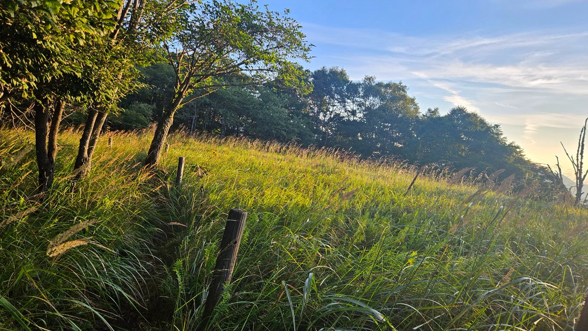 pokepoketz's tweet image. 牛奥ノ雁ヶ腹摺山はいいぞ
日本一名前が長くてローマ字表記がキツキツだぞ
稜線歩きも渋くていいぞ