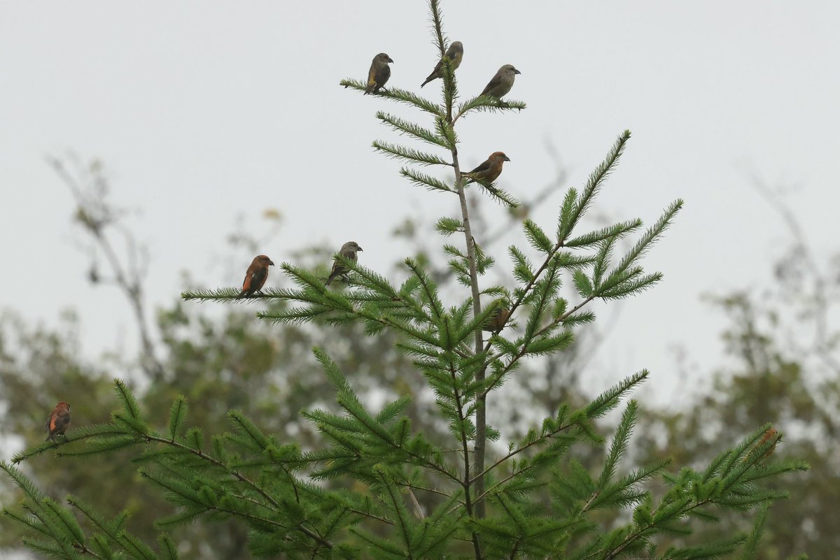 Frank & Polly tweet media