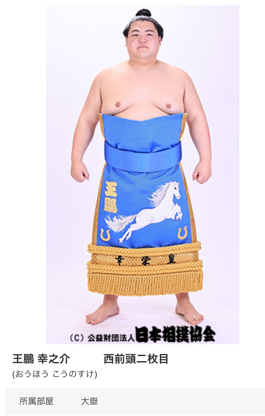 相撲 ?media_id=3283271404212553138