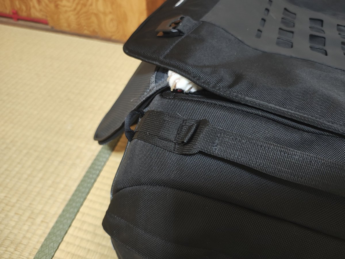 kojiri01's tweet photo. #swmotech pro travel bag
#パッキング https://t.co/TwanorVp7X
