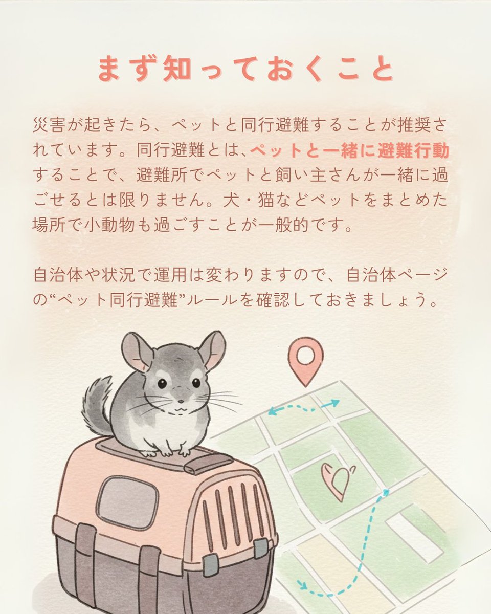 gifpet_official's tweet photo. 今日は「防災の日」👷
もしものために、"いま"備えよう！

↓ https://t.co/fk96XNLvAK