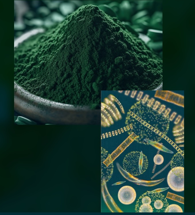 #STARTUP #DEEPTECH #OCEAN #MENTORAT #FRANCESTARTUPOCEANS : LE PROJET 175 NEO EARTH
france-startup-oceans.eu/2025/09/startu…