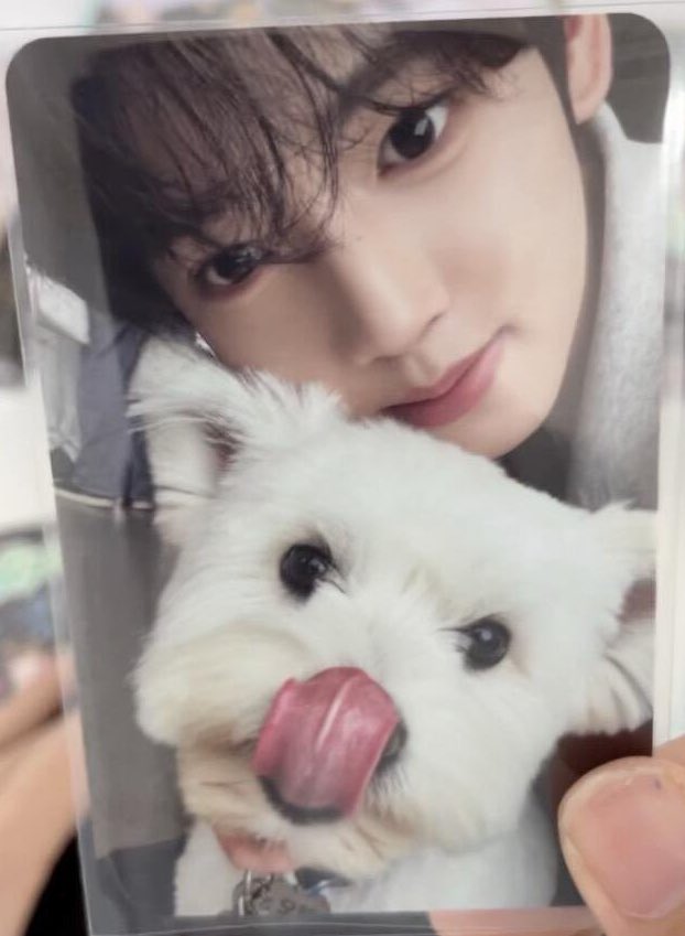 아 한빈이랑 유진이 레오포카 너무너무 귀여워 … 
견주랑 윶멍이 ♡.♡