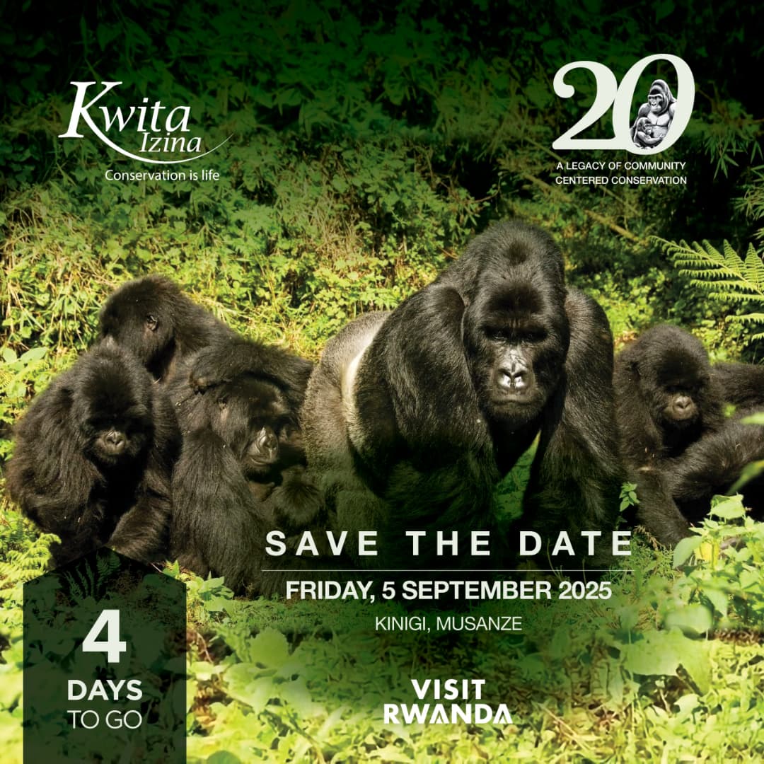 Rwanda Broadcasting Agency (RBA) (@rbarwanda) on Twitter photo ๐ฆ 4 Days to Go
Get ready for the #KwitaIzina# Gorilla Naming Ceremony โ live on RBA platforms.
Celebrating Rwandaโs wildlife, culture, and conservation. ๐ฟ
#RBAHafiYawe ๐ฆ 4 Days to Go
Get ready for the #KwitaIzina# Gorilla Naming Ceremony โ live on RBA platforms.
Celebrating Rwandaโs wildlife, culture, and conservation. ๐ฟ
#RBAHafiYawe
