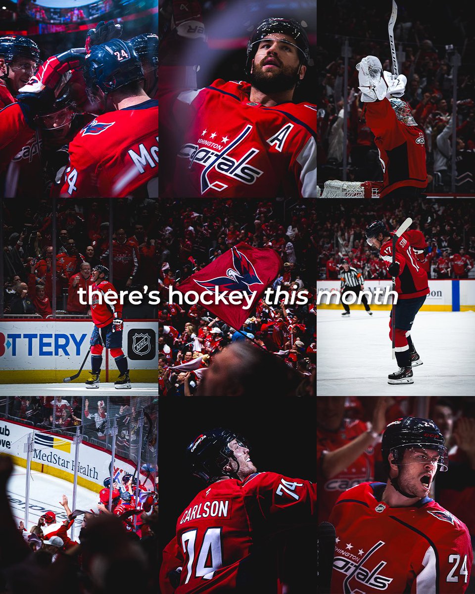 🙂‍↕️🏒