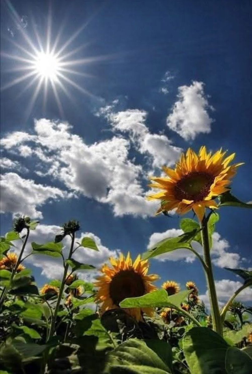 Good Morning! Happy Labour Day! 🙏