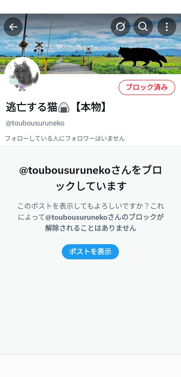 ちりりん@モフ鉄🐾No.002🐾 (@chiririn0426) on Twitter photo こっちも偽物…
何が本物だよ、コラー💥 こっちも偽物…
何が本物だよ、コラー💥