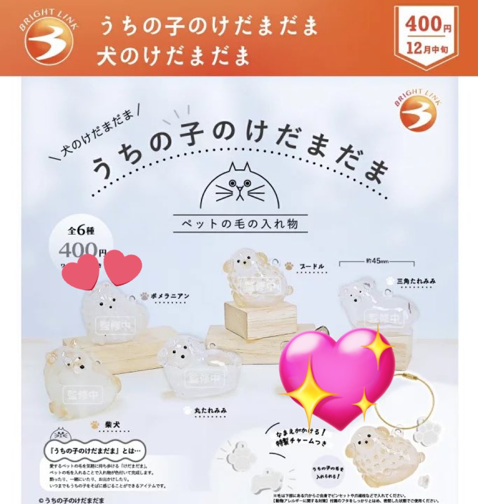 ANDO_trade's tweet photo. 交換･譲渡

うちの子のけだまだま 犬バージョン

譲】画像♡以外

求】ポメラニアンor 500円➕送料

楽天でワンセット予約済
長期取引となるためそれでもいい方。
音信不通にならない方
お気軽にお声掛け下さい。 https://t.co/Wr1ylTmUQL